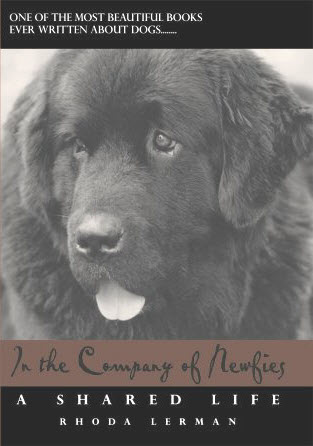 In the Company of Newfies book cover